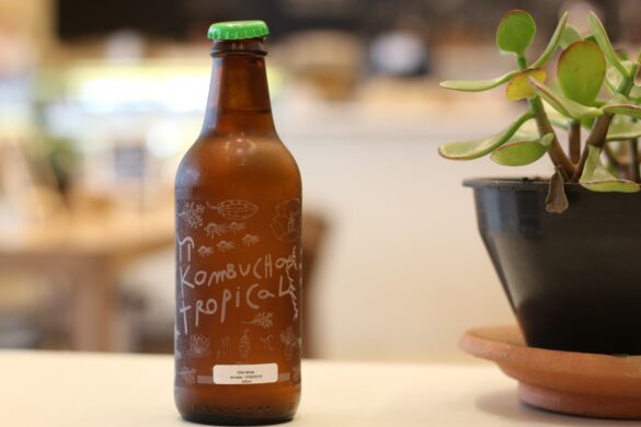 kombucha scoby kopen